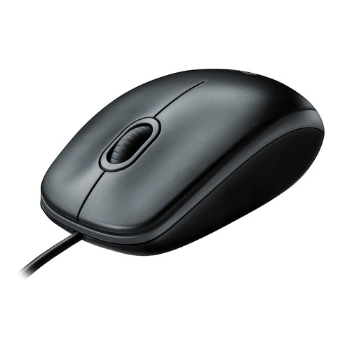 [Z008248] RATON USB LOGITECH B100 SERIES